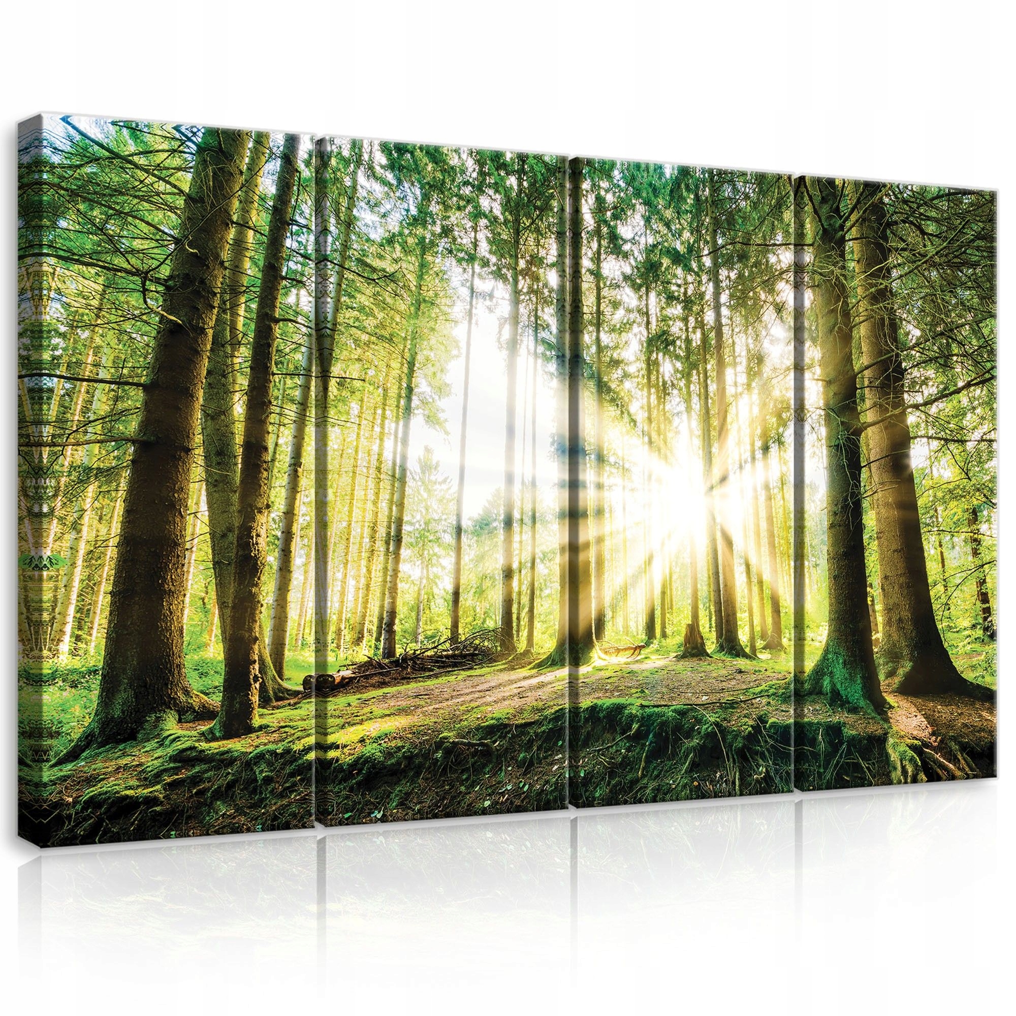 Obraz 120x80 Les sluneční paprsky úsvit zeleň příroda klid harmonie