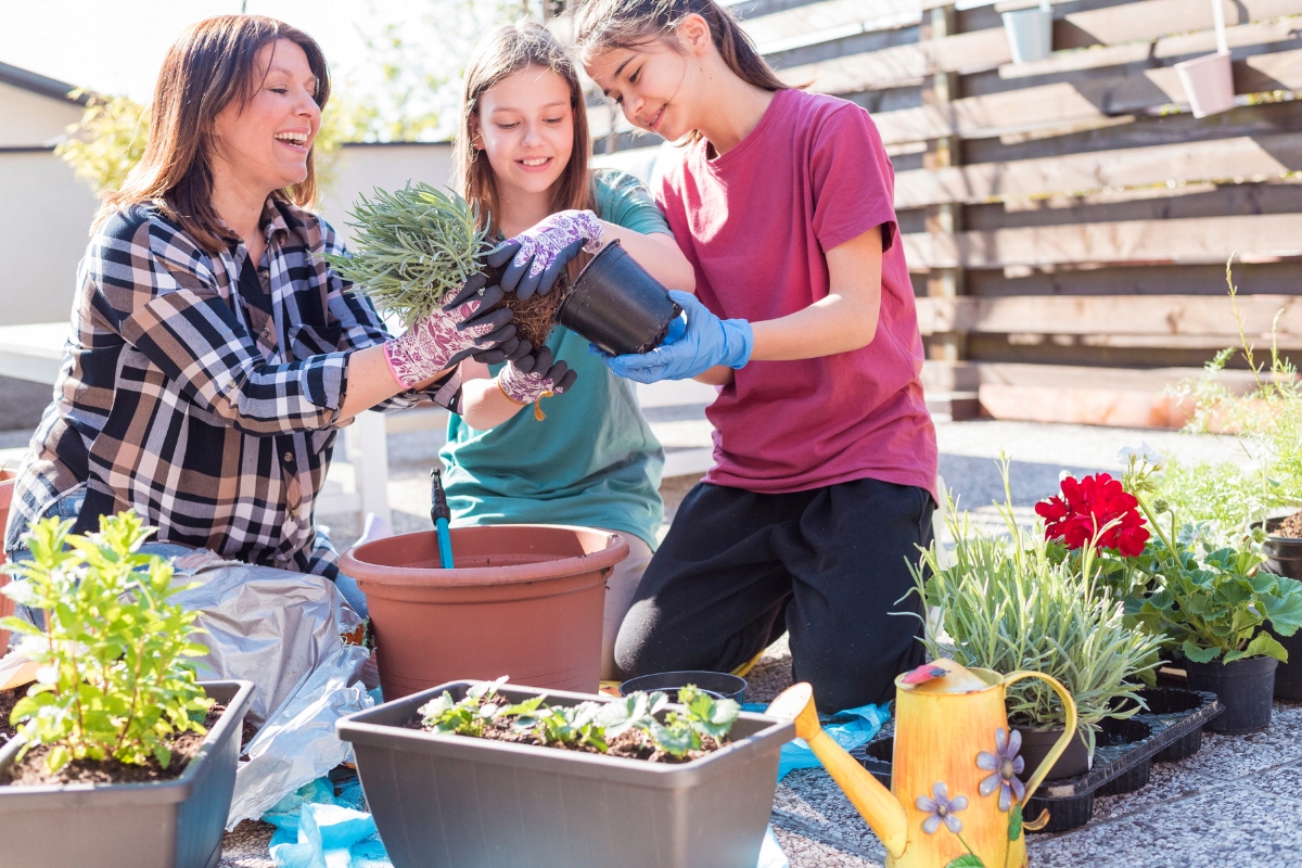 SZEROKA DONICA OGRODOWA NA TARAS KWIATY SUNNY 46 doniczka 46cm MROZOODPORNA Rodzaj doniczka