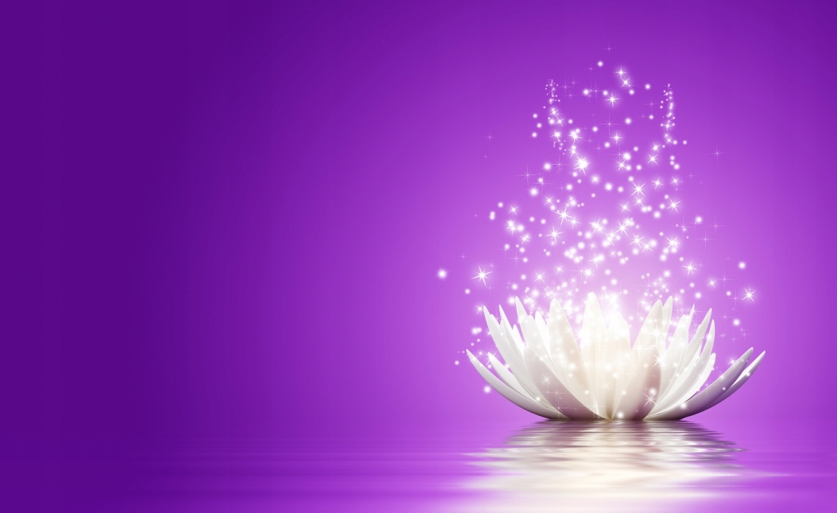 

Tapeta flizelinowa Kwiat lotosu 416x254