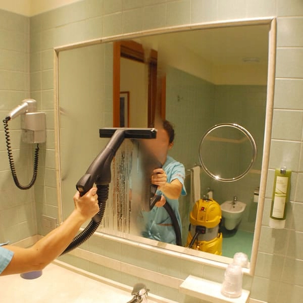 Odkurzacz piorący ekstrakcyjny + myjka parowa EAN (GTIN) 05256224