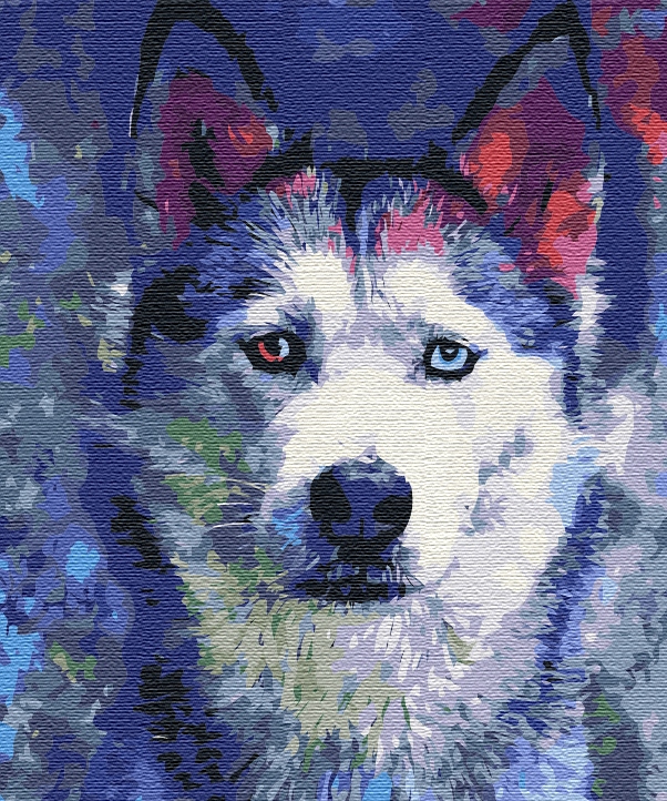 Malování podle čísel Paint it! Pohled 40x50