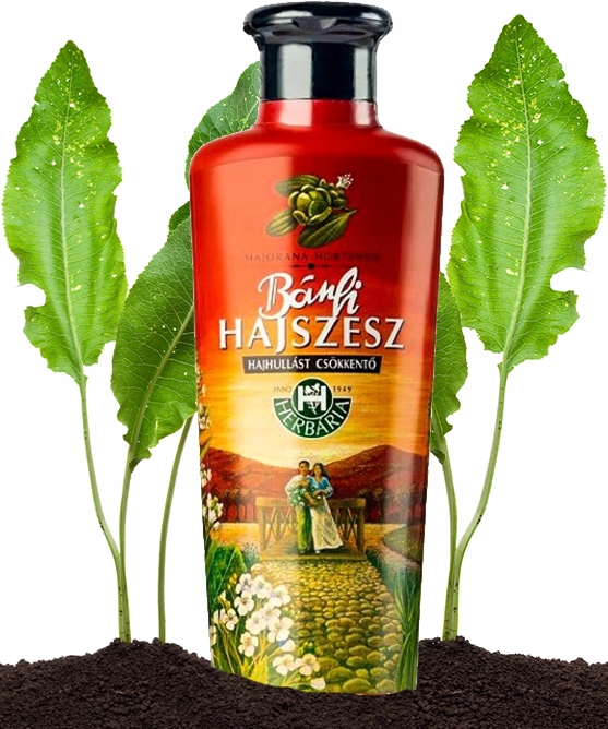 

Banfi Hajszesz Wcierka do włosów Klasyczna 250 ml