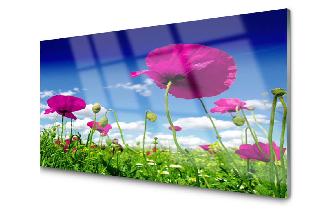 

Panel szklany Płytka Łąka Kwiaty Niebo 140x70