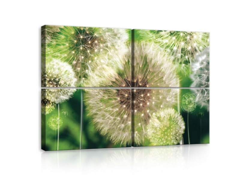 Obraz 120x80 Púpava lekárska púpava semená príroda jar leto ľahkosť