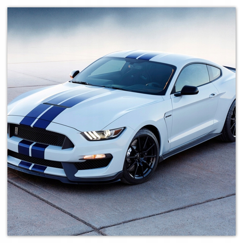

Fototapety flizelina 312x312 Ford Mustang Shelby