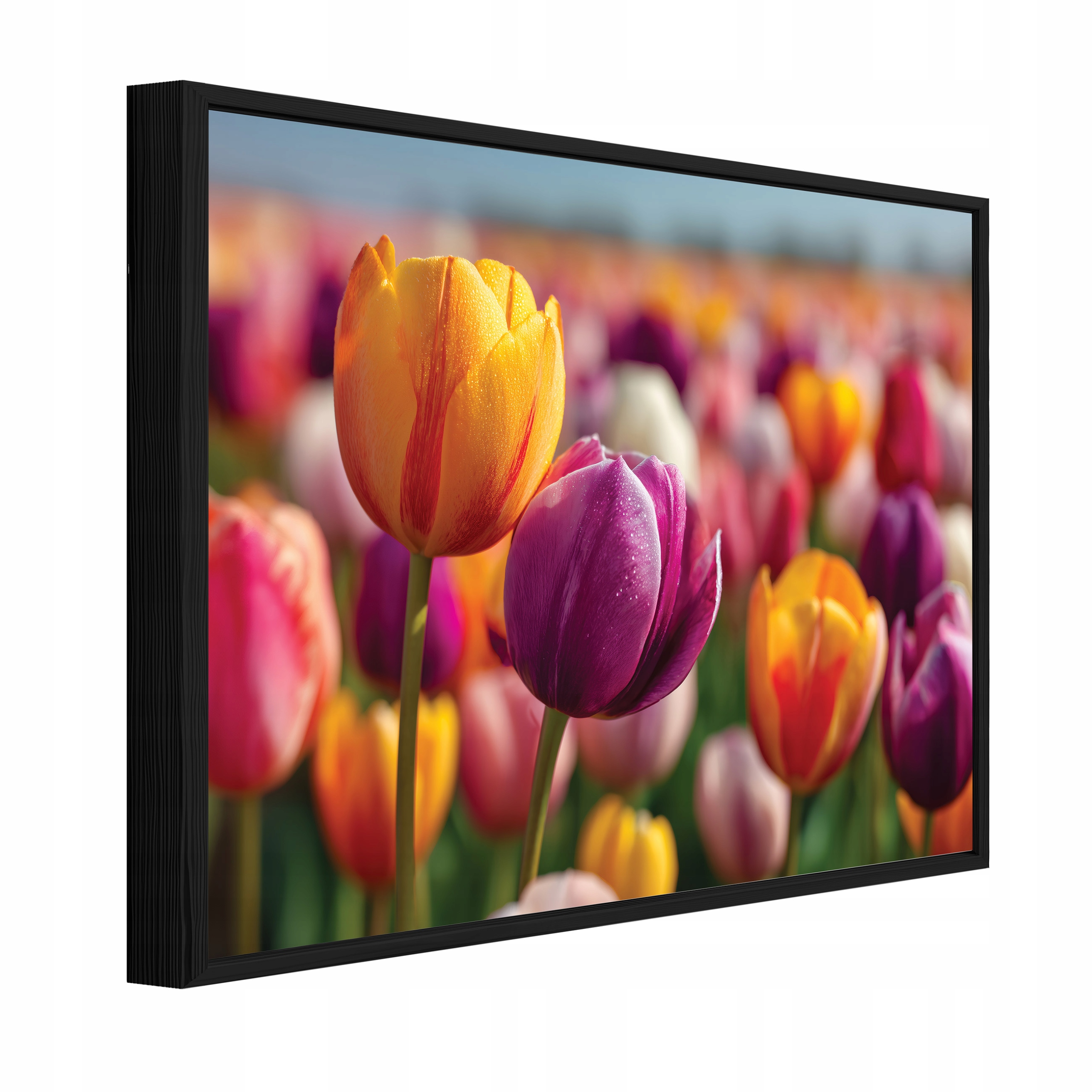 Obraz V Černém Rámu Na Plátně Květiny Tulipány Obývací Pokoj Ložnice 120x80