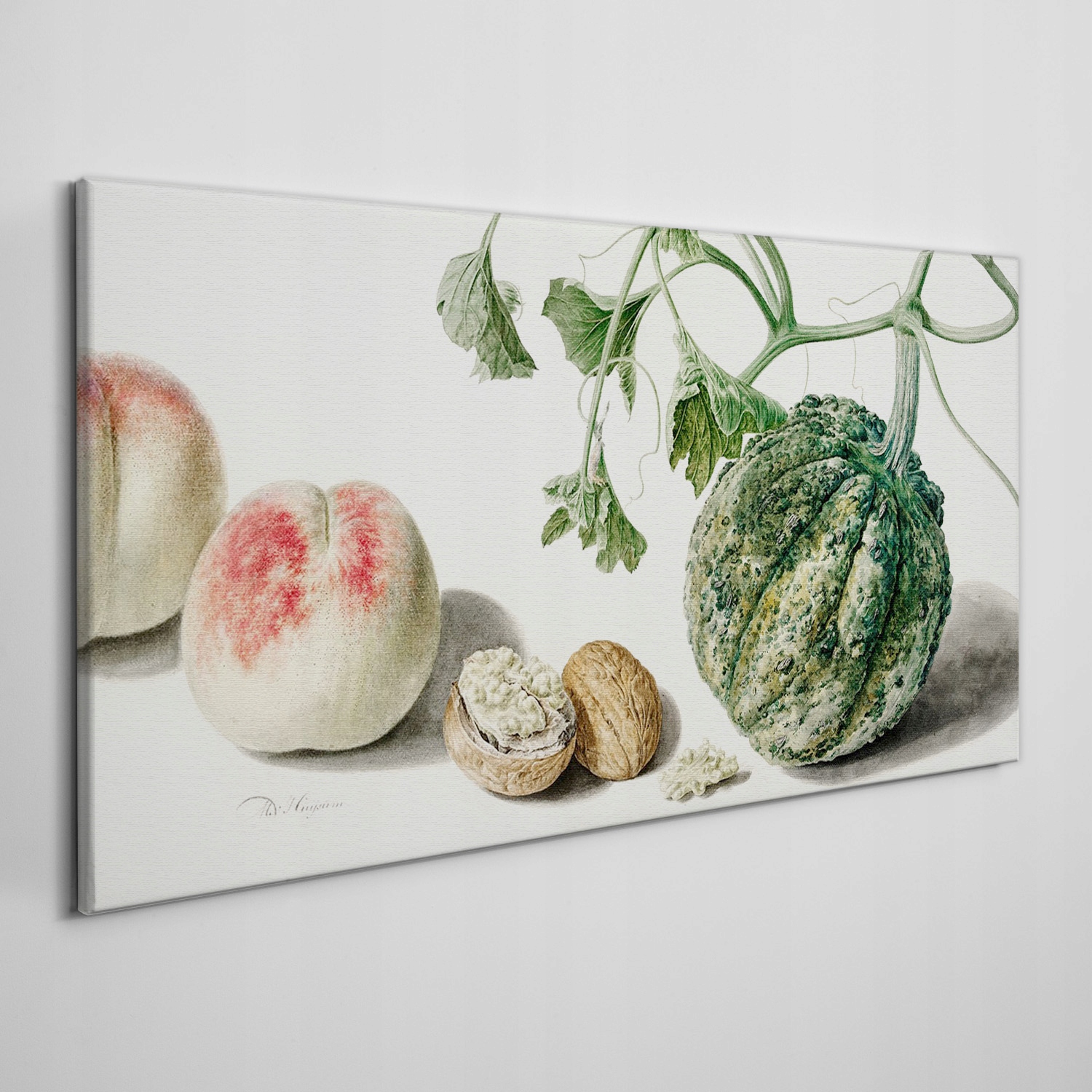 

Foto-obraz na ramie płótno Owoce orzechy 120x60 cm