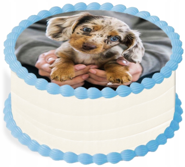 oplatek na dort 14 cm Zvířata Pejsek Narozeniny