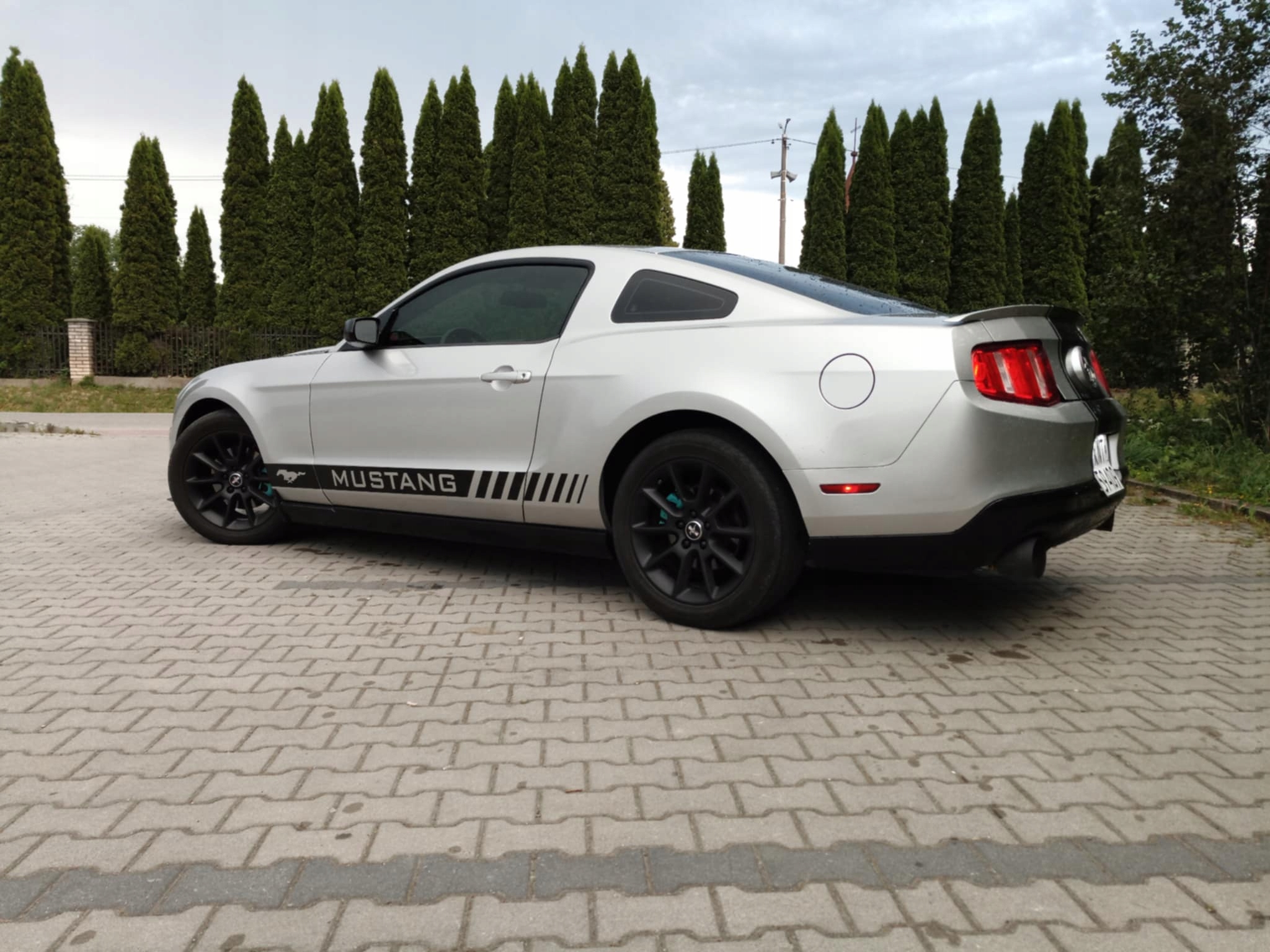 Naklejki,Pasy boczne, folia samochodowa na drzwi Ford Mustang Producent Inny