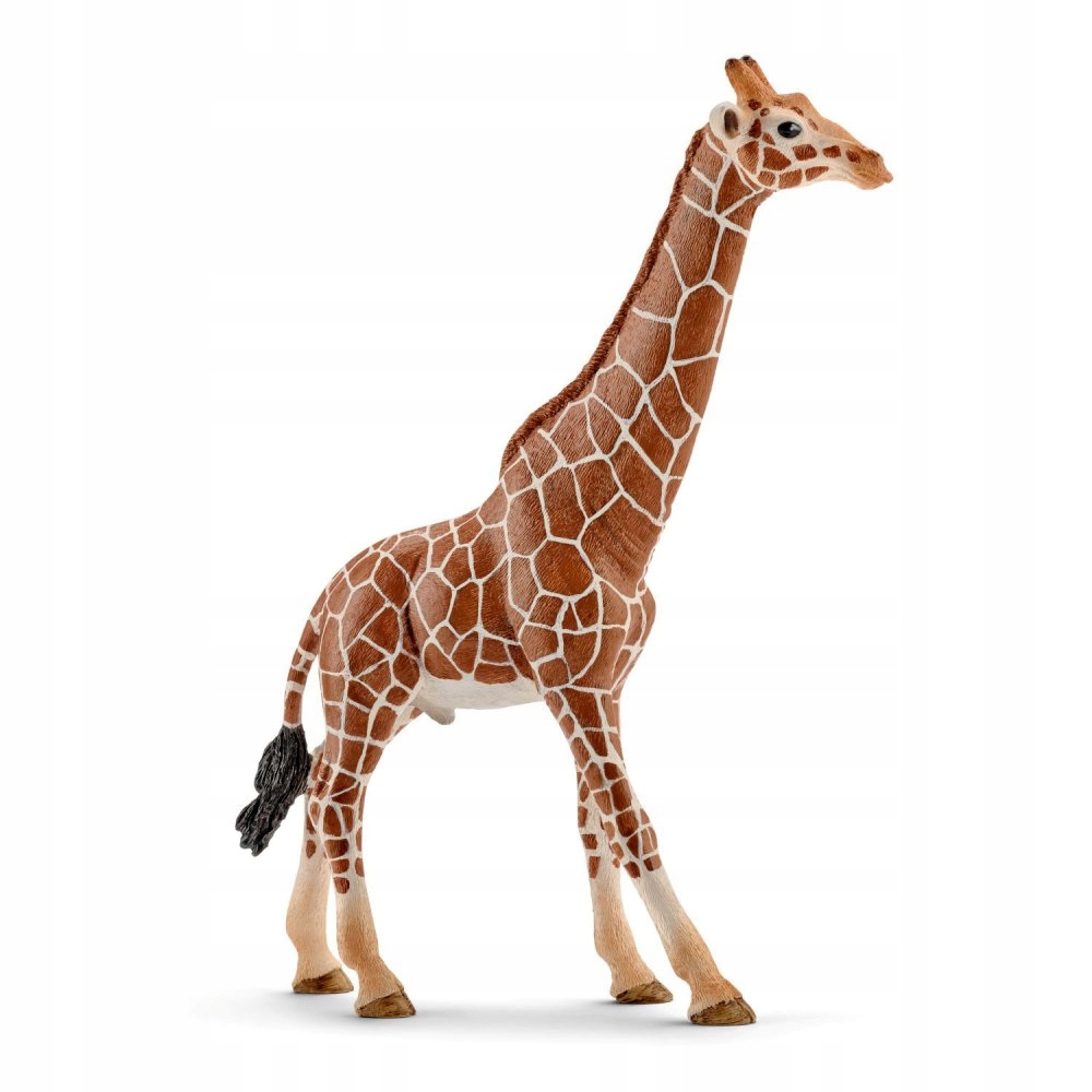 

Schleich Żyrafa Samiec Figurka 14749