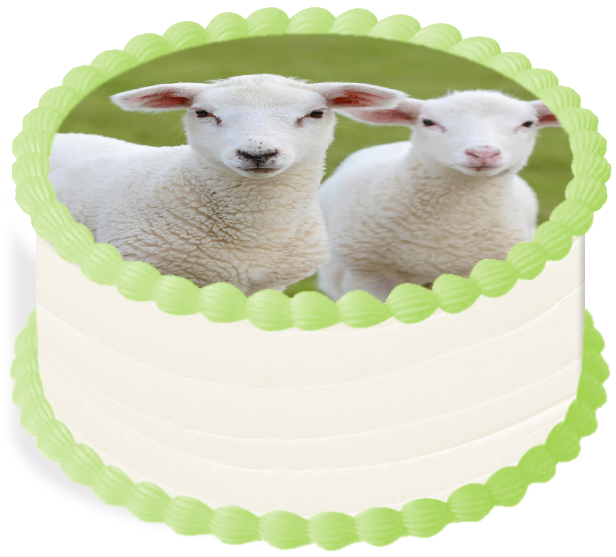 oplatek na dort 29 Cm Zvířata Farma Ovce Ovečka