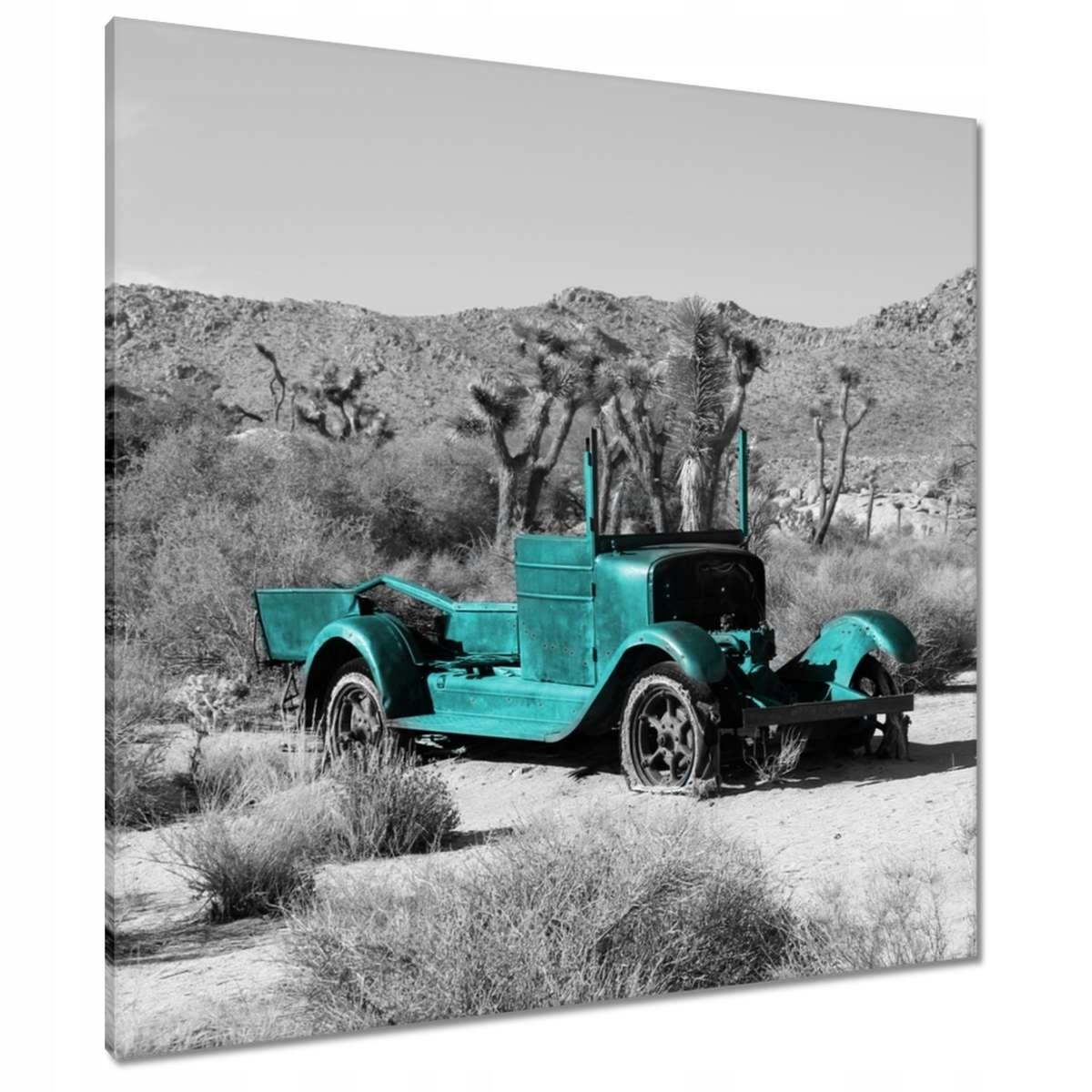 Obrazy 90x90 Tyrkysový vrak