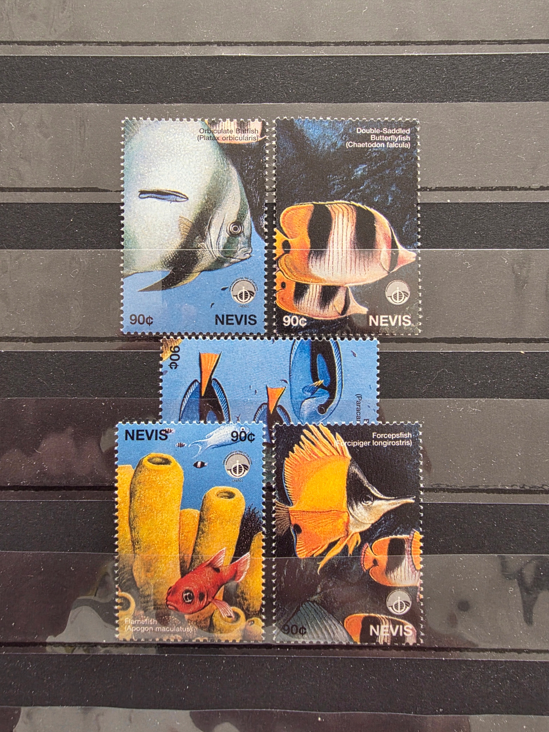 Znaczki Fauna Ryby Nevis czysty /ZN9