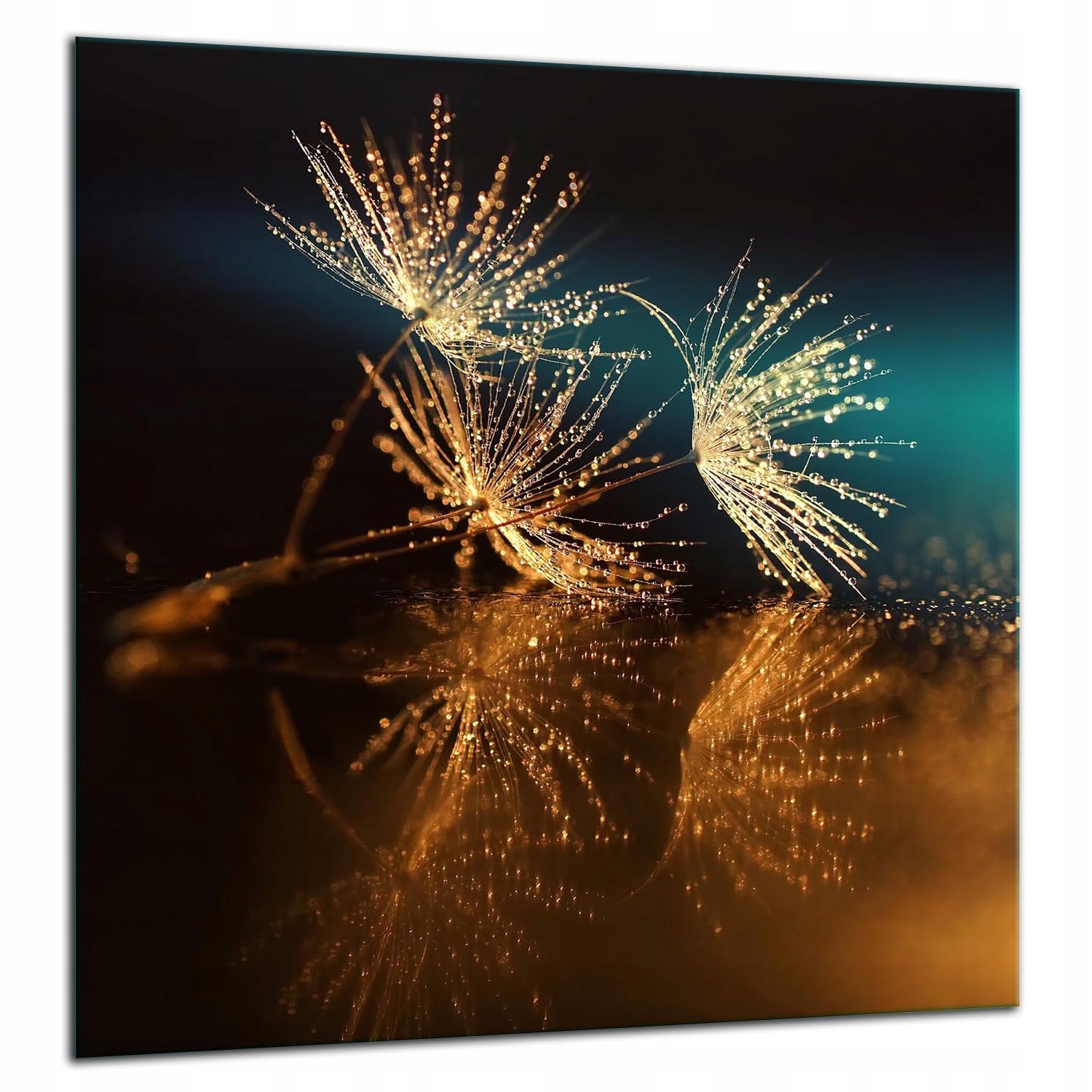 Ochranný Skleněný Panel Do Kuchyně 60x65 Květ Lacobel 7v1