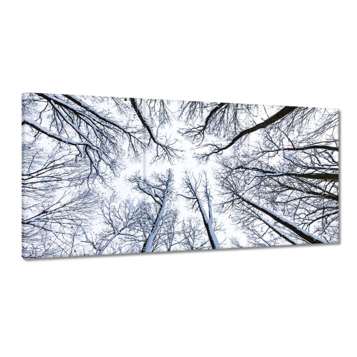 Obrazy 180x90 Strom Stromy Pohľad