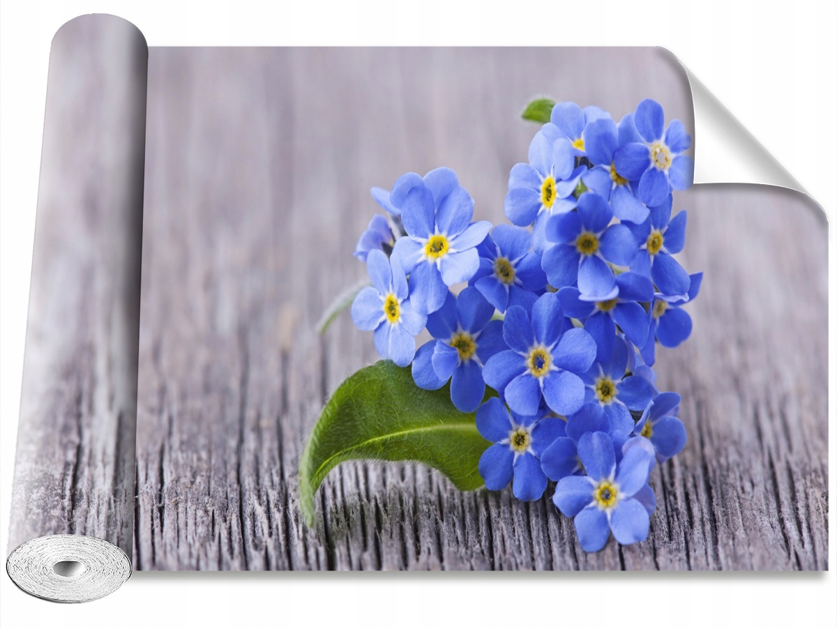 

Tapeta Samoprzylepna Niezapominajki 416x254