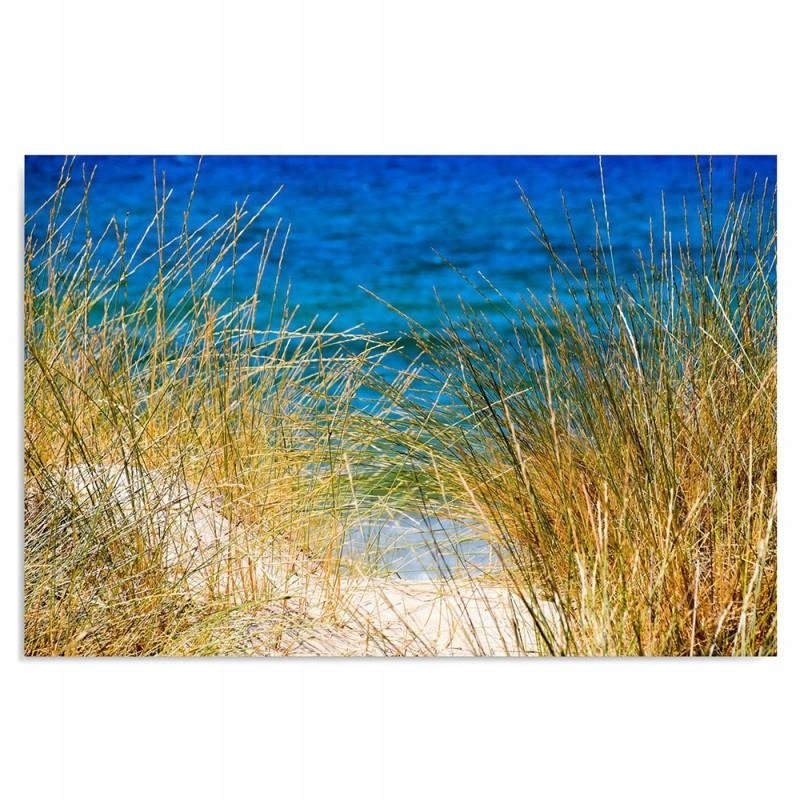 FOTO-Obraz Plátno Canvas Pohled z duny 120x80