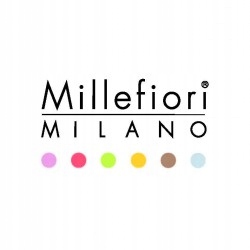 ODŚWIEŻACZ ULTRADŹWIĘKOWY HYDRO MM MOVEO MINI Marka Millefiori Milano