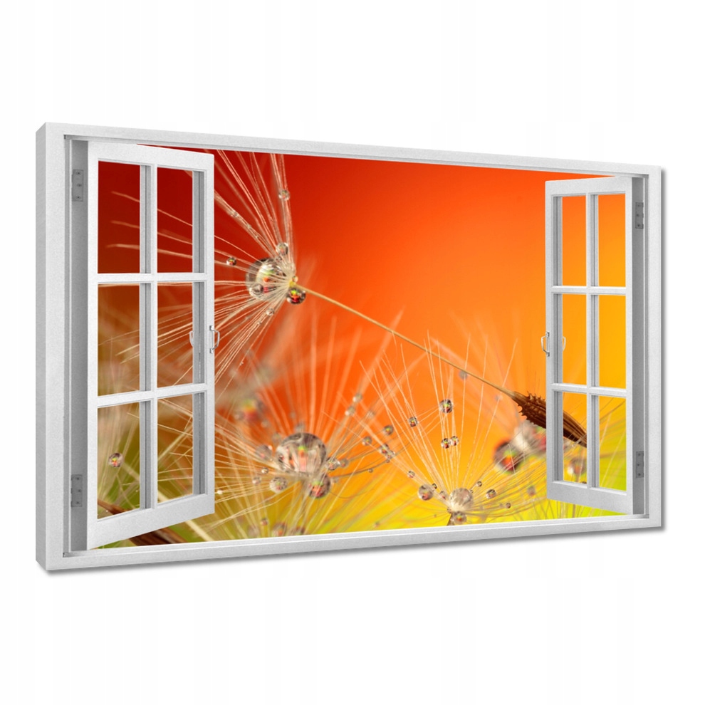 

Obrazy 120x80 Dmuchawiec Kwiat Kwiatki