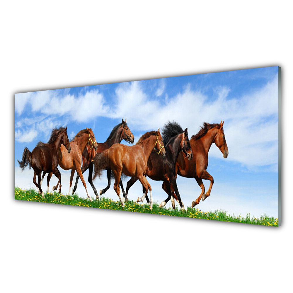 

Obraz akrylowy 125x50 Konie w Galopie na Pastwisku