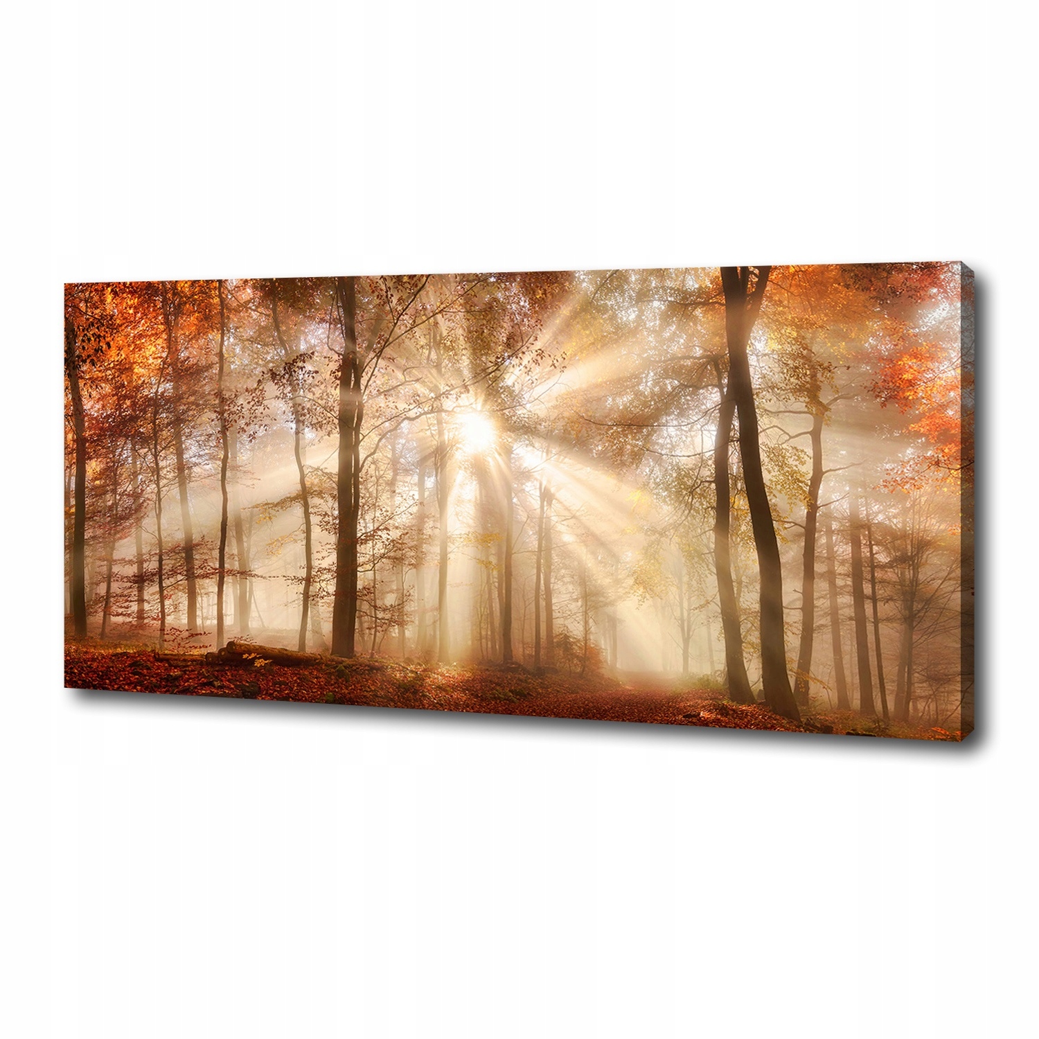 

Foto obraz na płótnie Mgła w lesie jesień 125x50cm