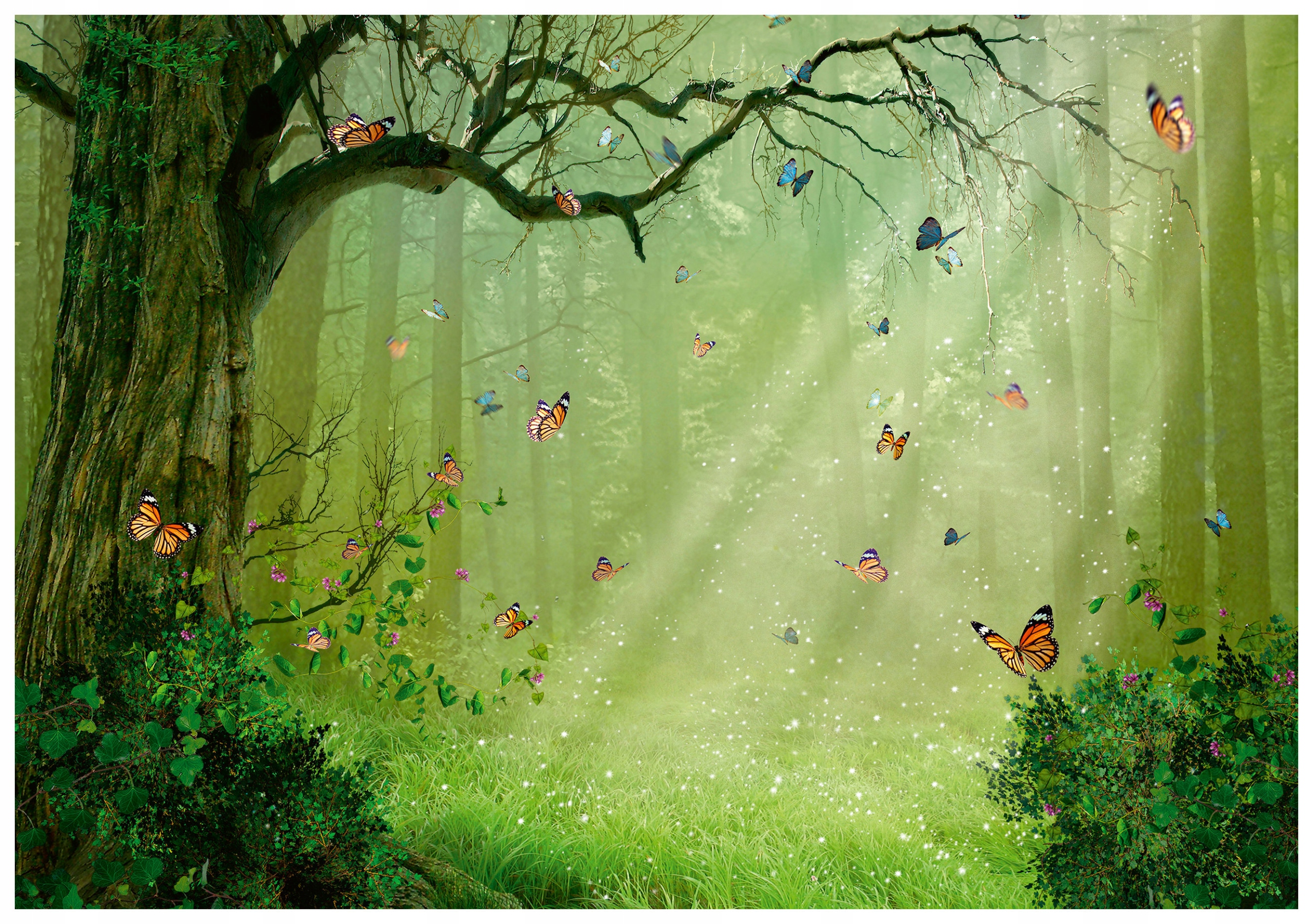 Vliesová fototapeta Les s motýľmi zelená relaxácia príroda 416x254 lepidlo
