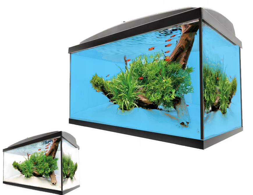 Zestaw Akwarium 50x30x30 Led Dzień Noc Prosty 45L Pełne Wyposażenie