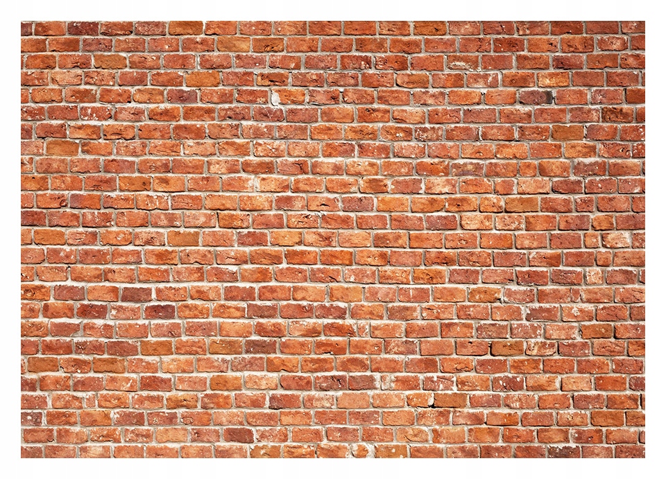 

Fototapeta 3D Cegła mur 254x184 F00292