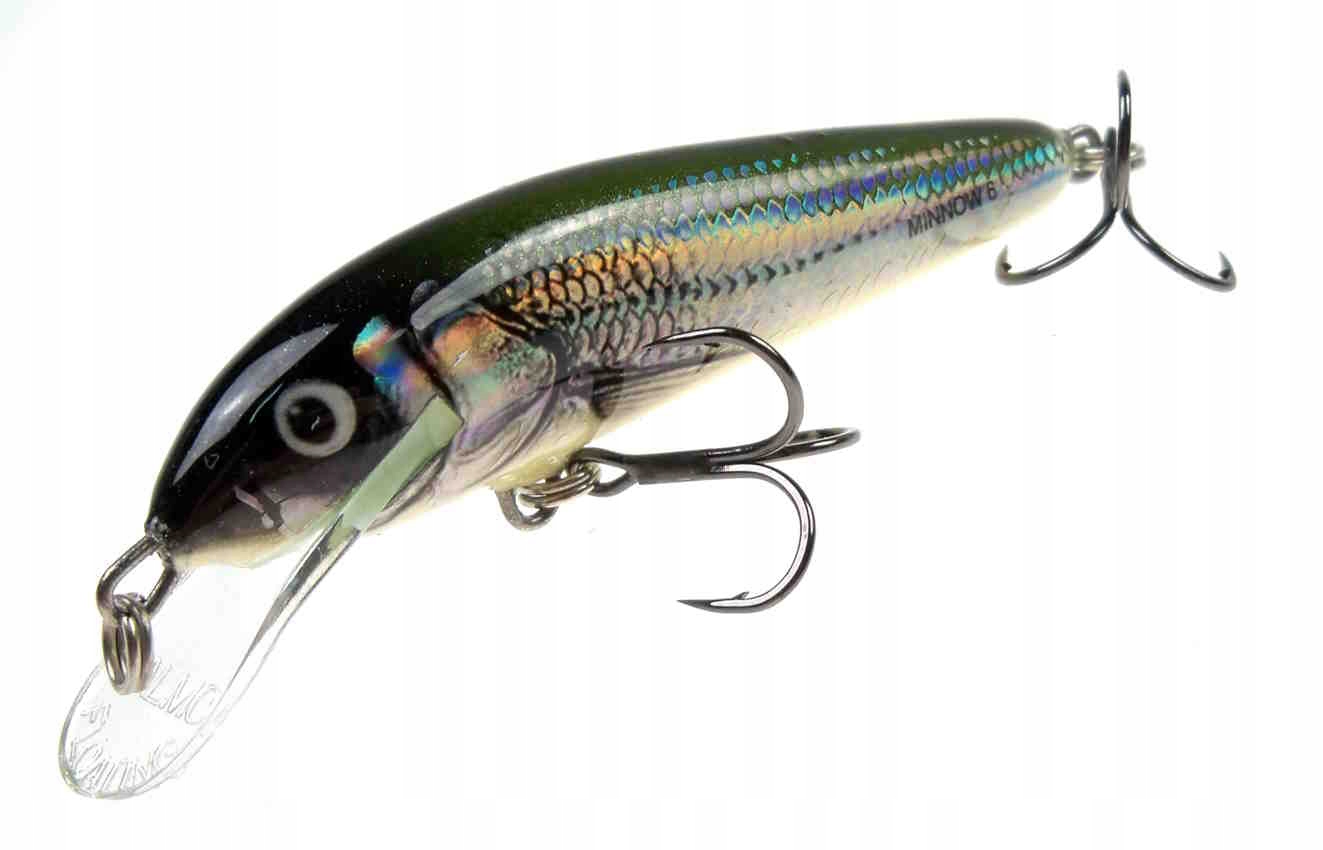 Pstrągowy wobler Salmo Minnow 6cm Floating Holo Bleak