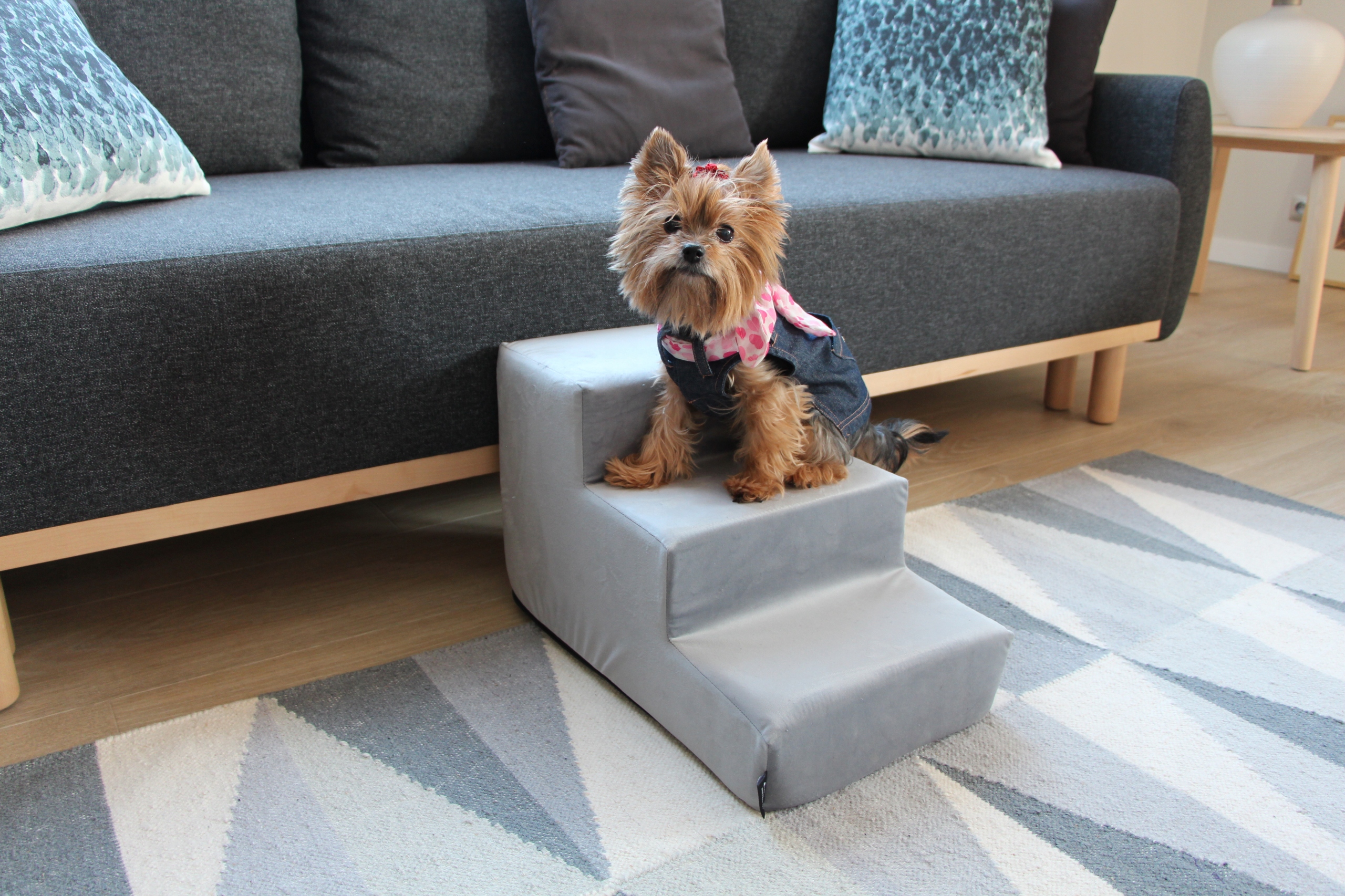 Schodki/schody AKSAMIT 6 kolorów Rozmiar S