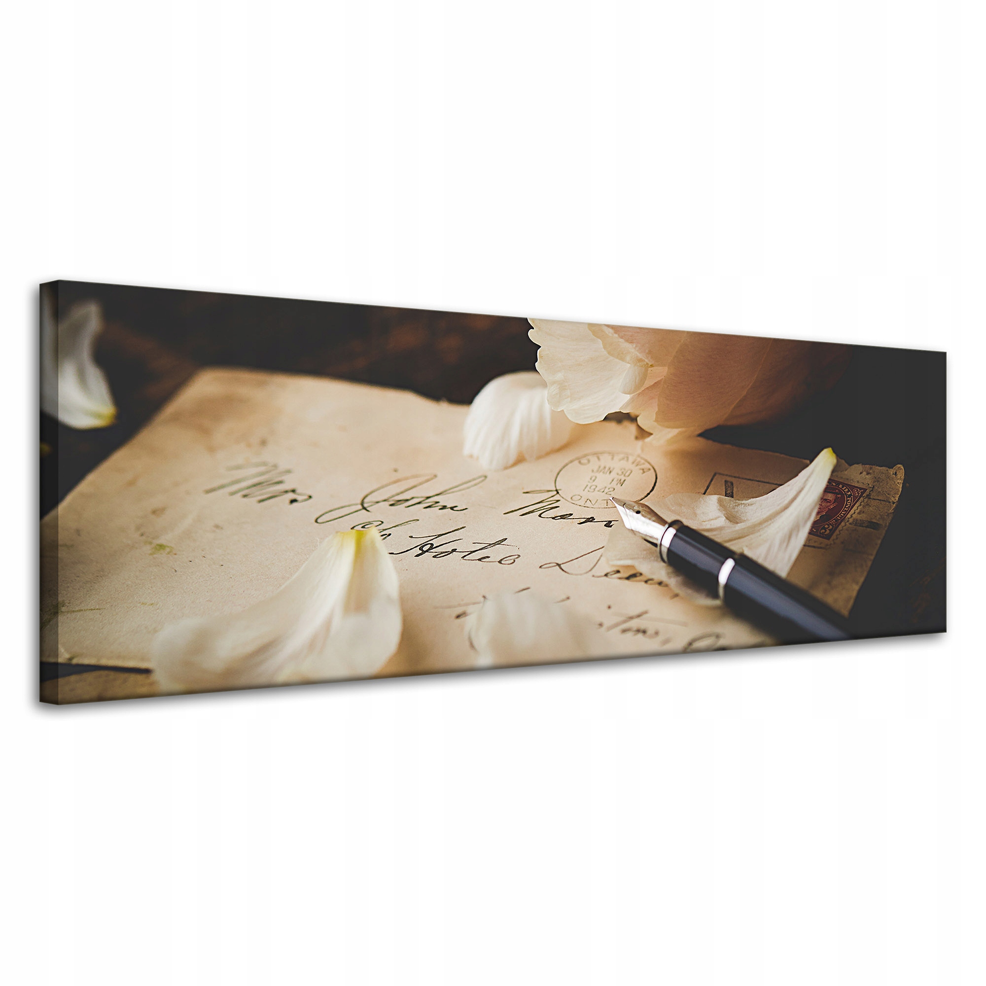 Obraz Canvas Botanika Vločky na listech 120x40 cm