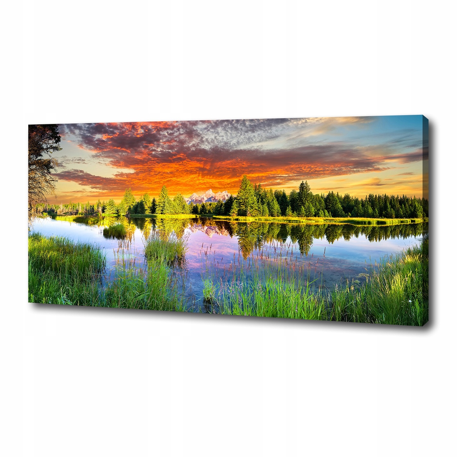 

Foto obraz na płótnie Rzeka w lesie 125x50 cm