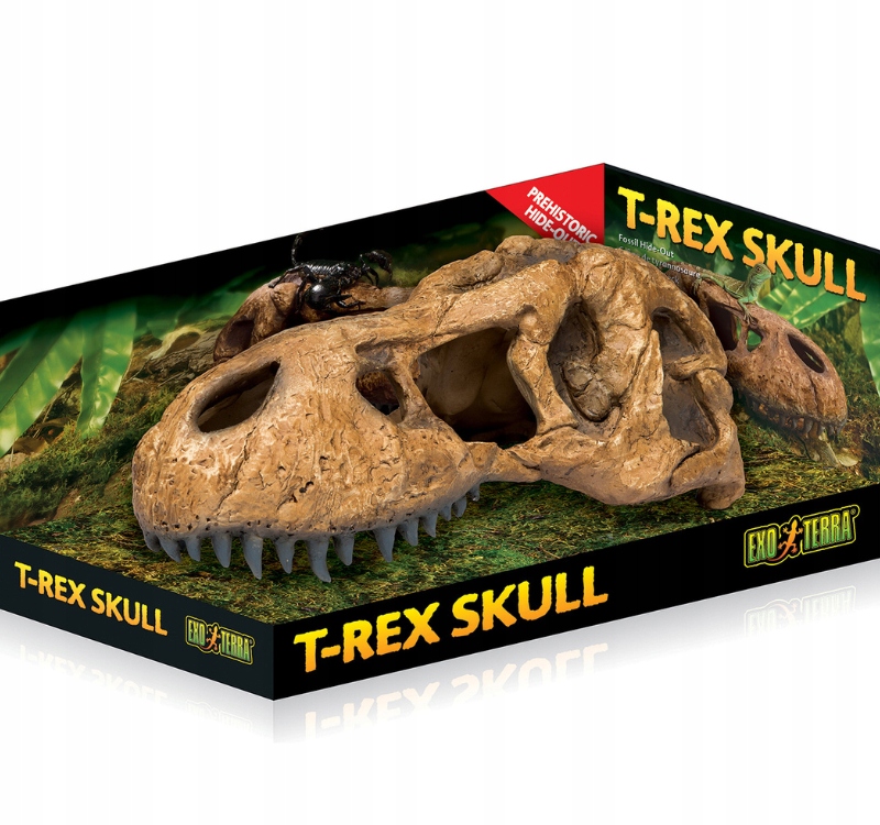 Levně Exo Terra Skull Lebka Tyranosaurus úkryt ozdoba dekorace terária 22c