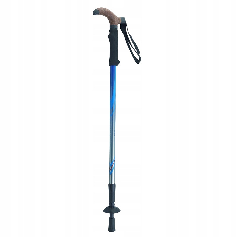 Kijek Trekkingowy Do Chodzenia Nordic Walking Składany Regulowany 1SZT