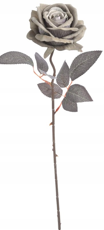 

Róża Piękna, Velvetowa Na Łodydze Szara 50 cm