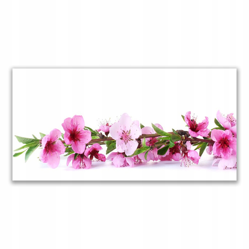 

Obraz akryl z grafiką 120x60 Kwiaty Roślina Natura