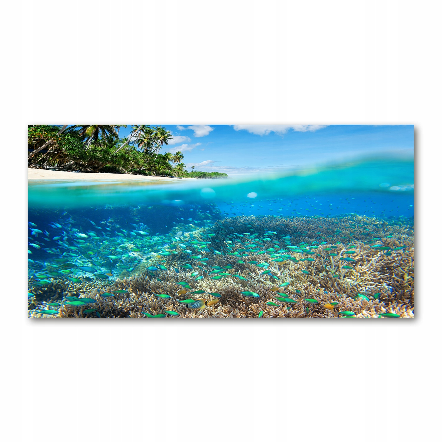 

Foto obraz akryl zdjęcie Rafa koralowa 120X60 cm