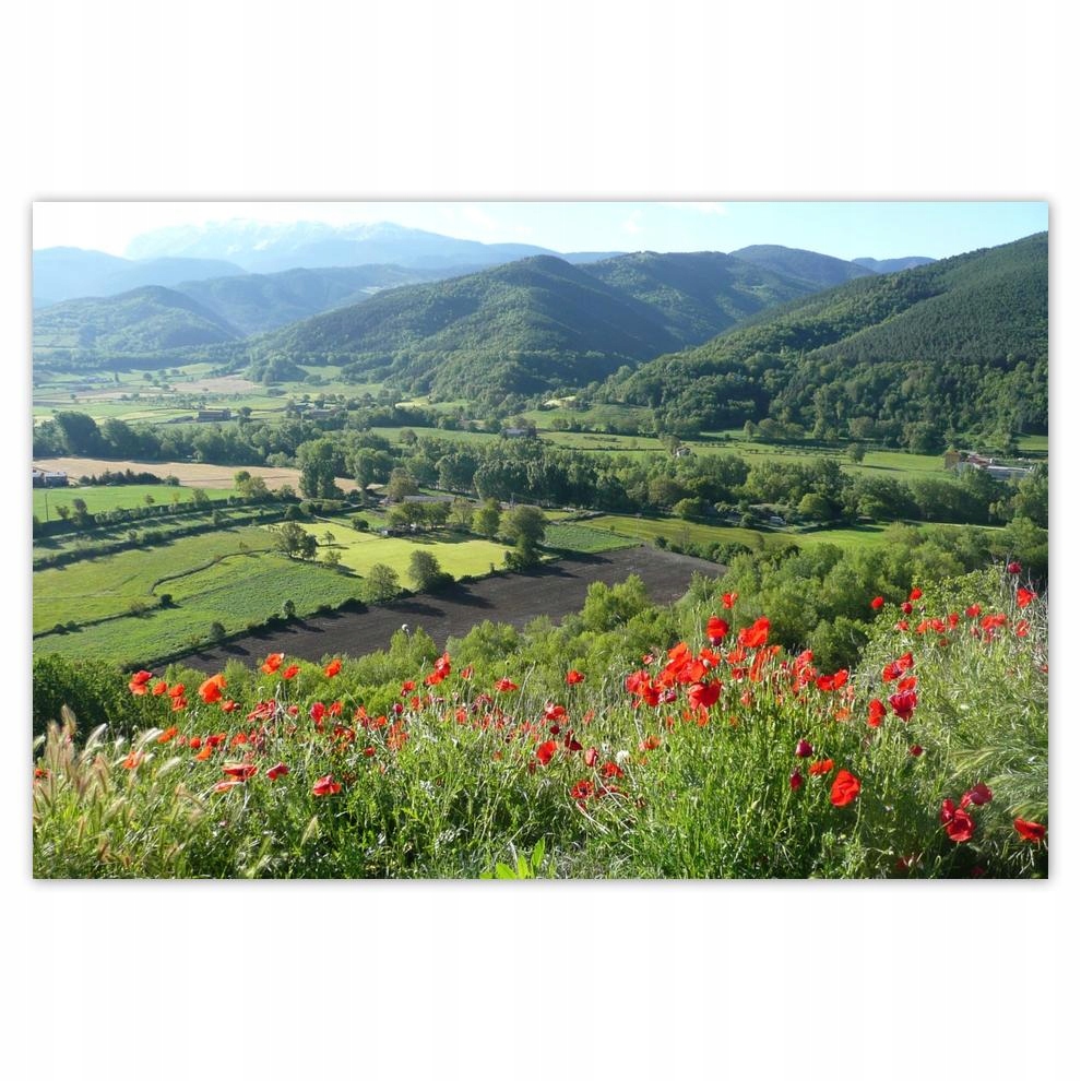 

Plakaty 60x40 Kwiecisty widok w górach