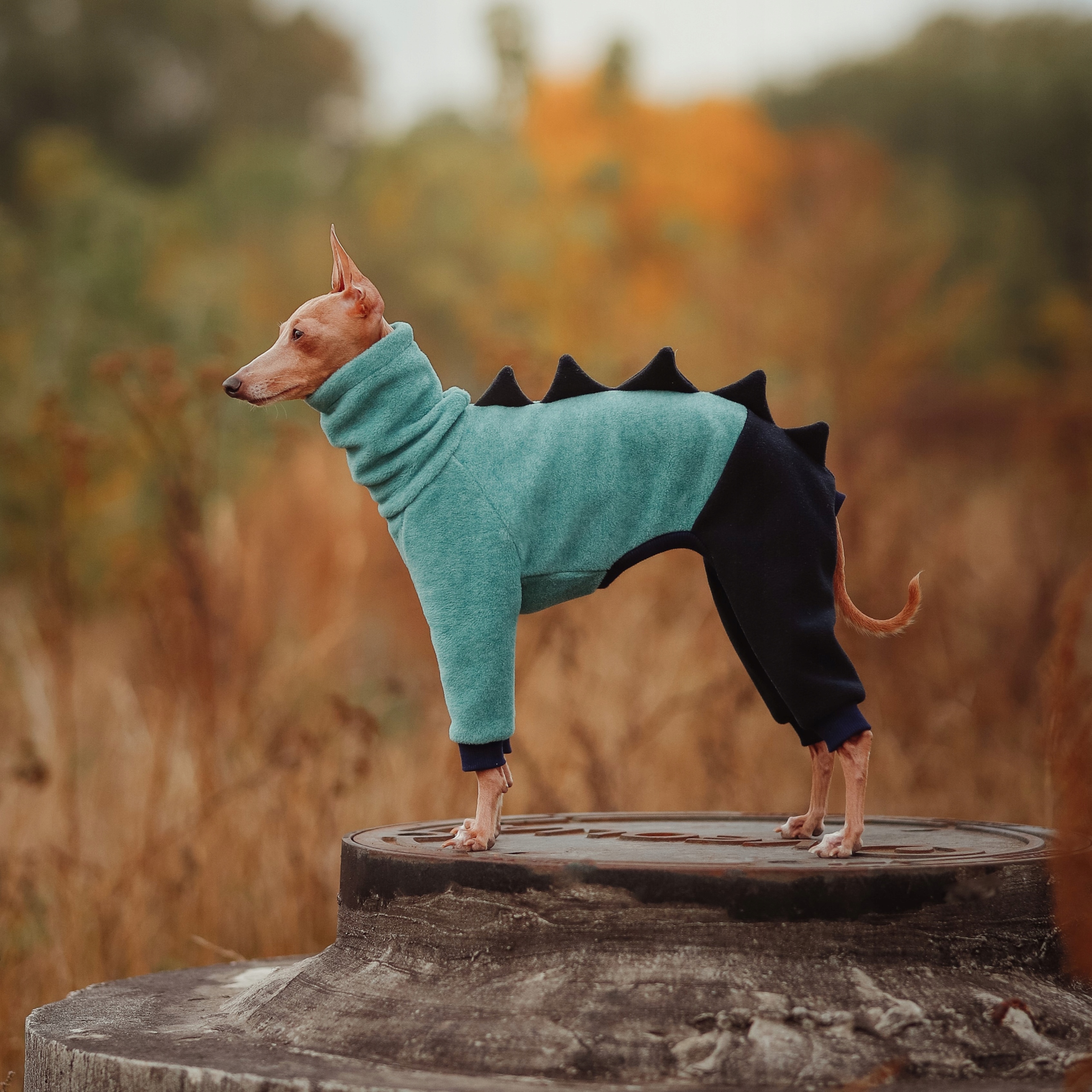 Levně Oblečení pro italského chrtíka Kombinéza Dino