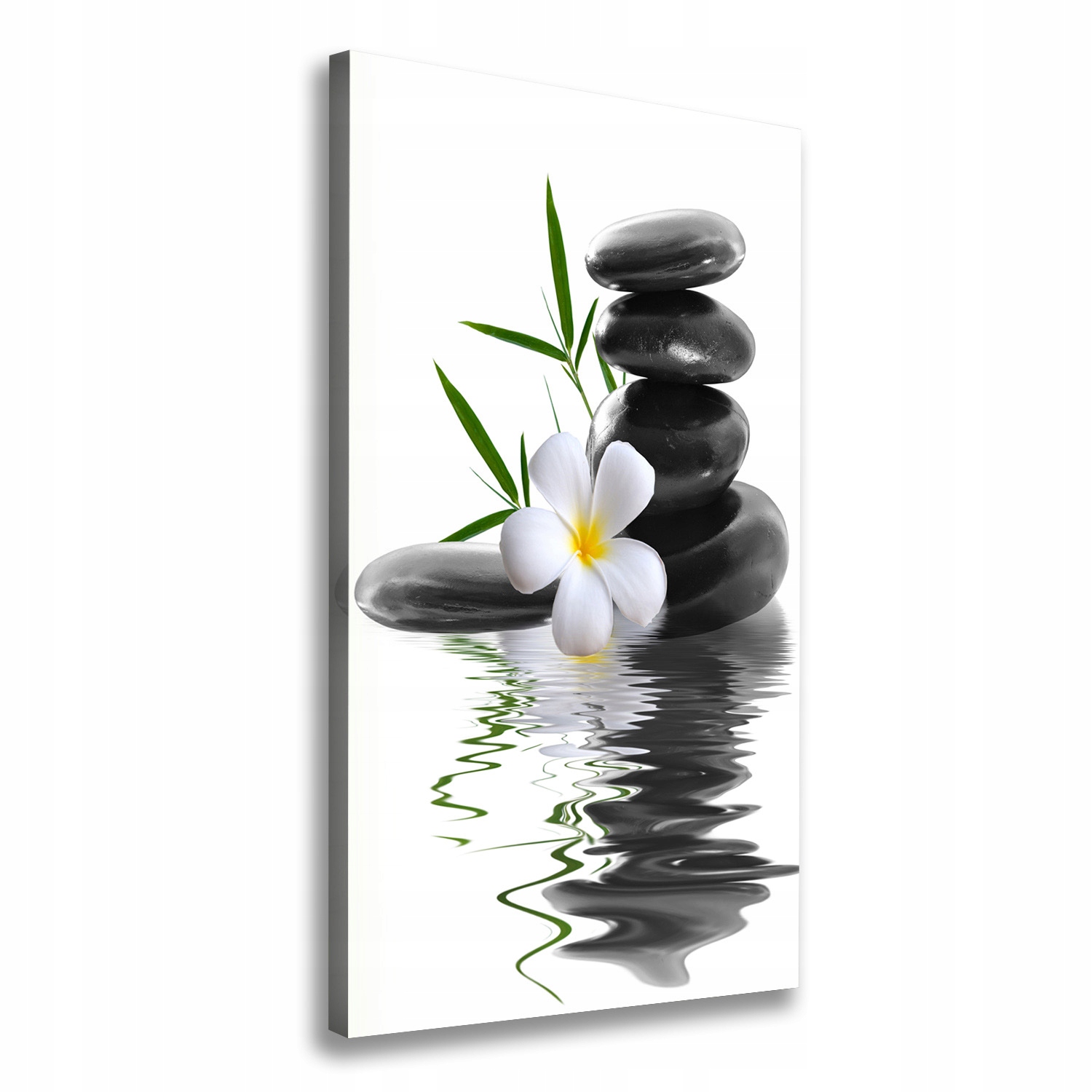 

Foto obraz na płótnie Orchidea i kamienie 60x120cm