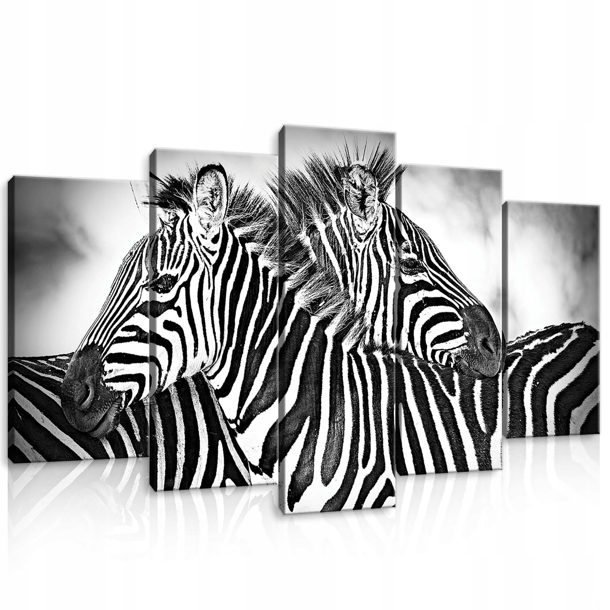 Obraz 100x60 Zebra pruhy divoká příroda Afrika černobílé zvířata dekorace
