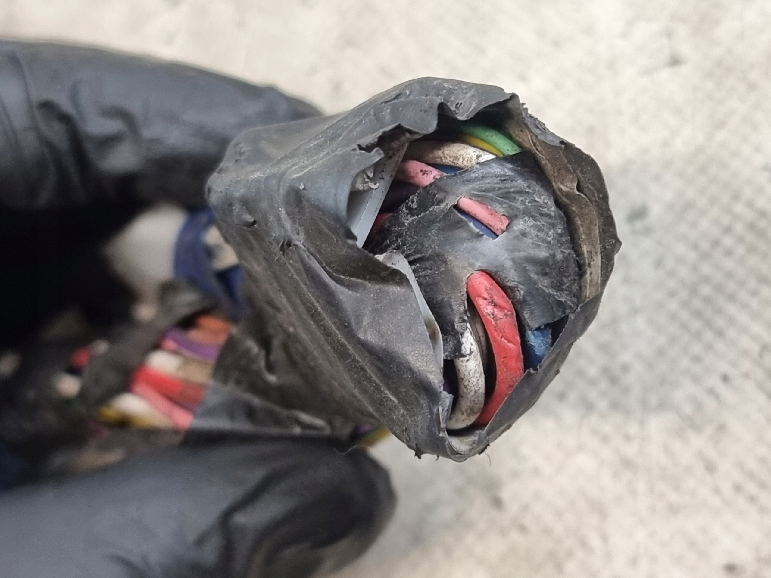 bundle wiring door left front TOYOTA PRIUS II 08r