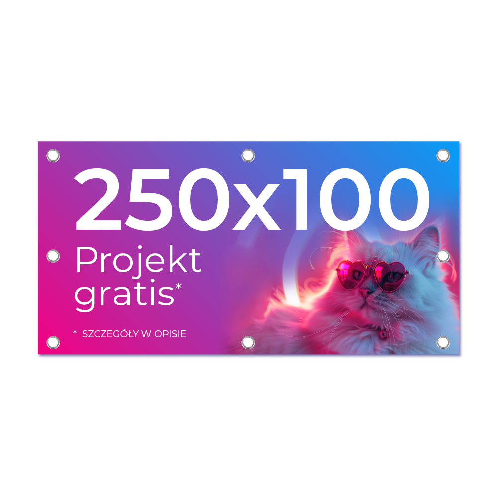 Baner Reklamowy 250x100 cm plandeka frontlit powlekany Projekt