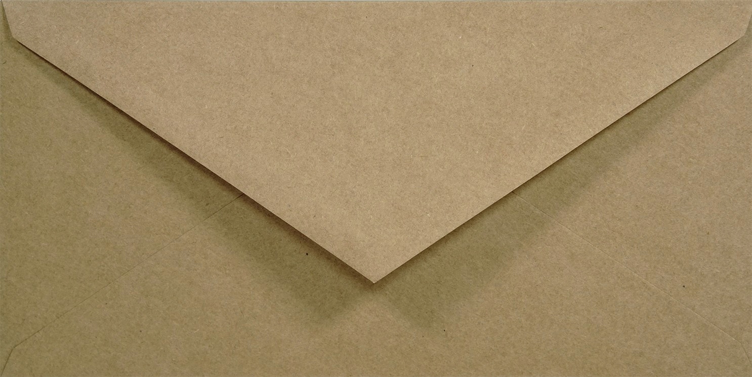 

Koperty ekologiczne DL Eko Kraft delta 5szt.