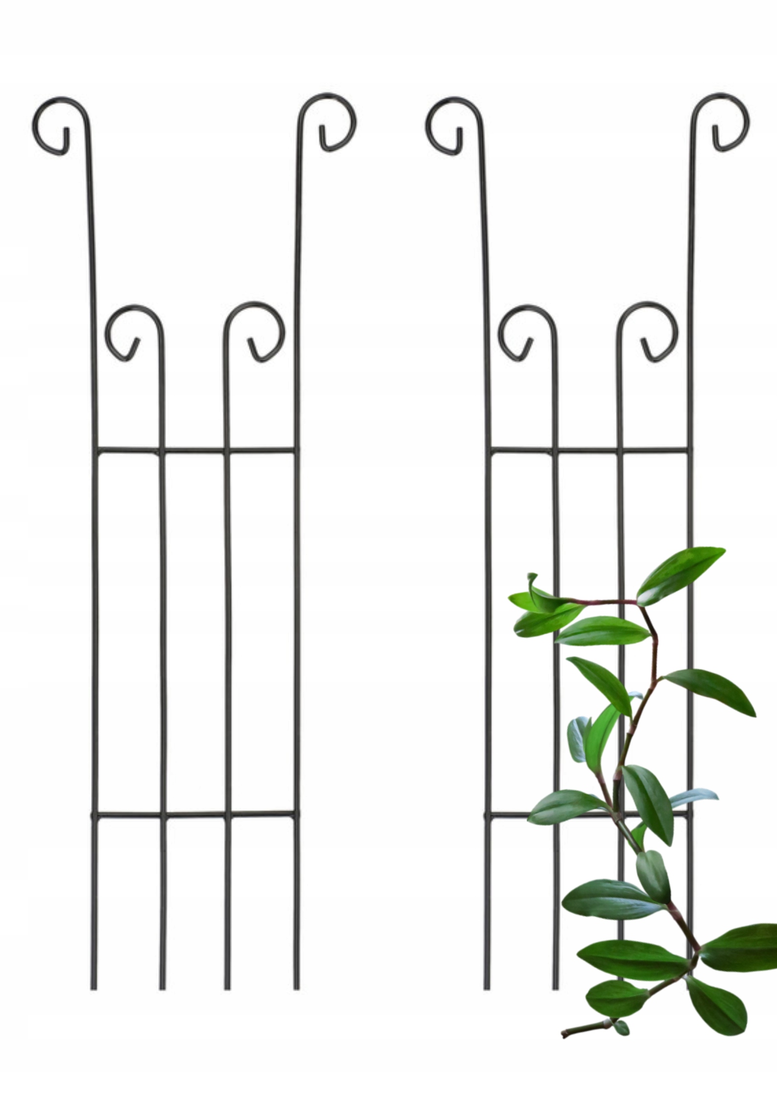 PODPORA DO KWIATÓW, ROŚLIN PNĄCYCH VERSANIS 65