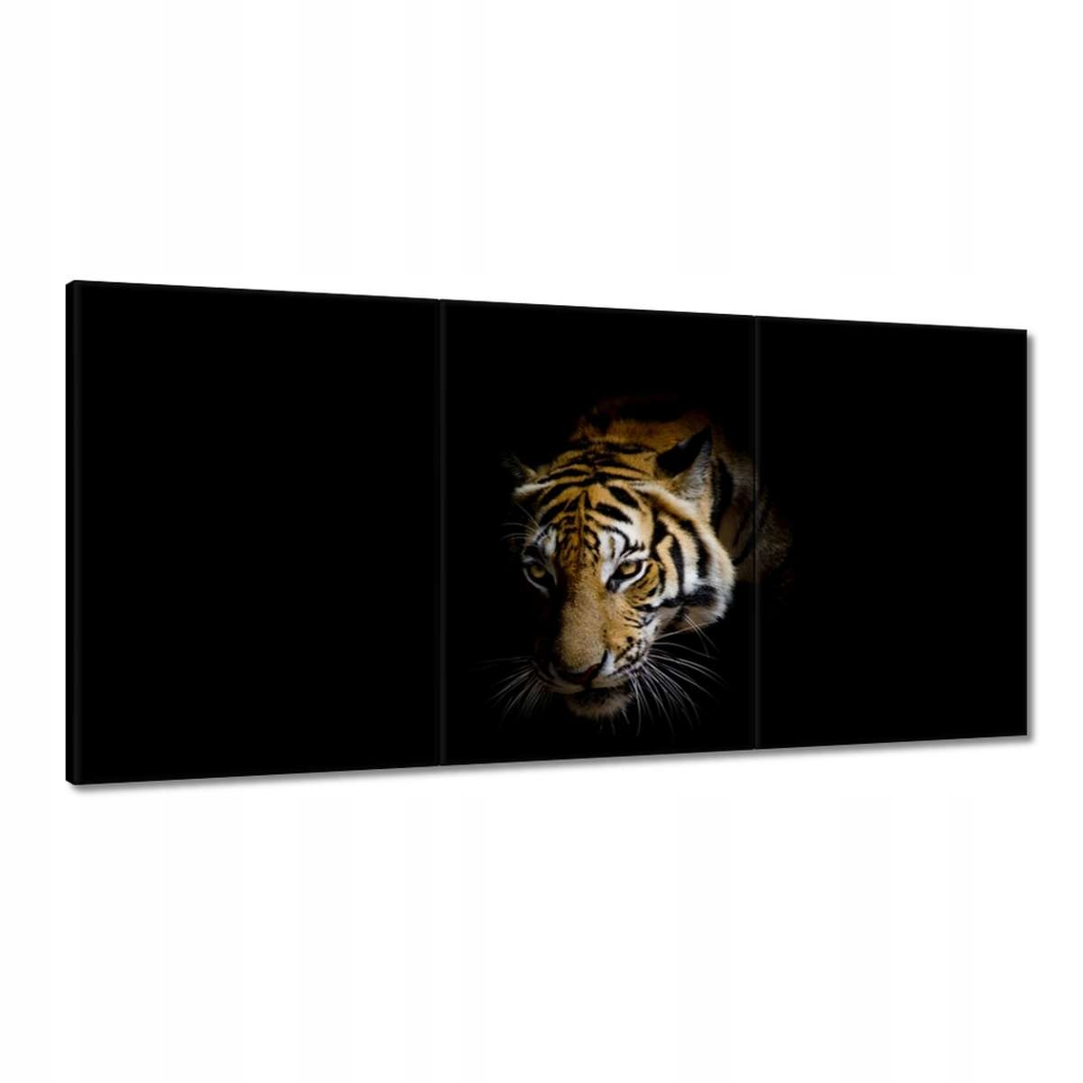 Obrazy 180x90 Tvár tigra mačky