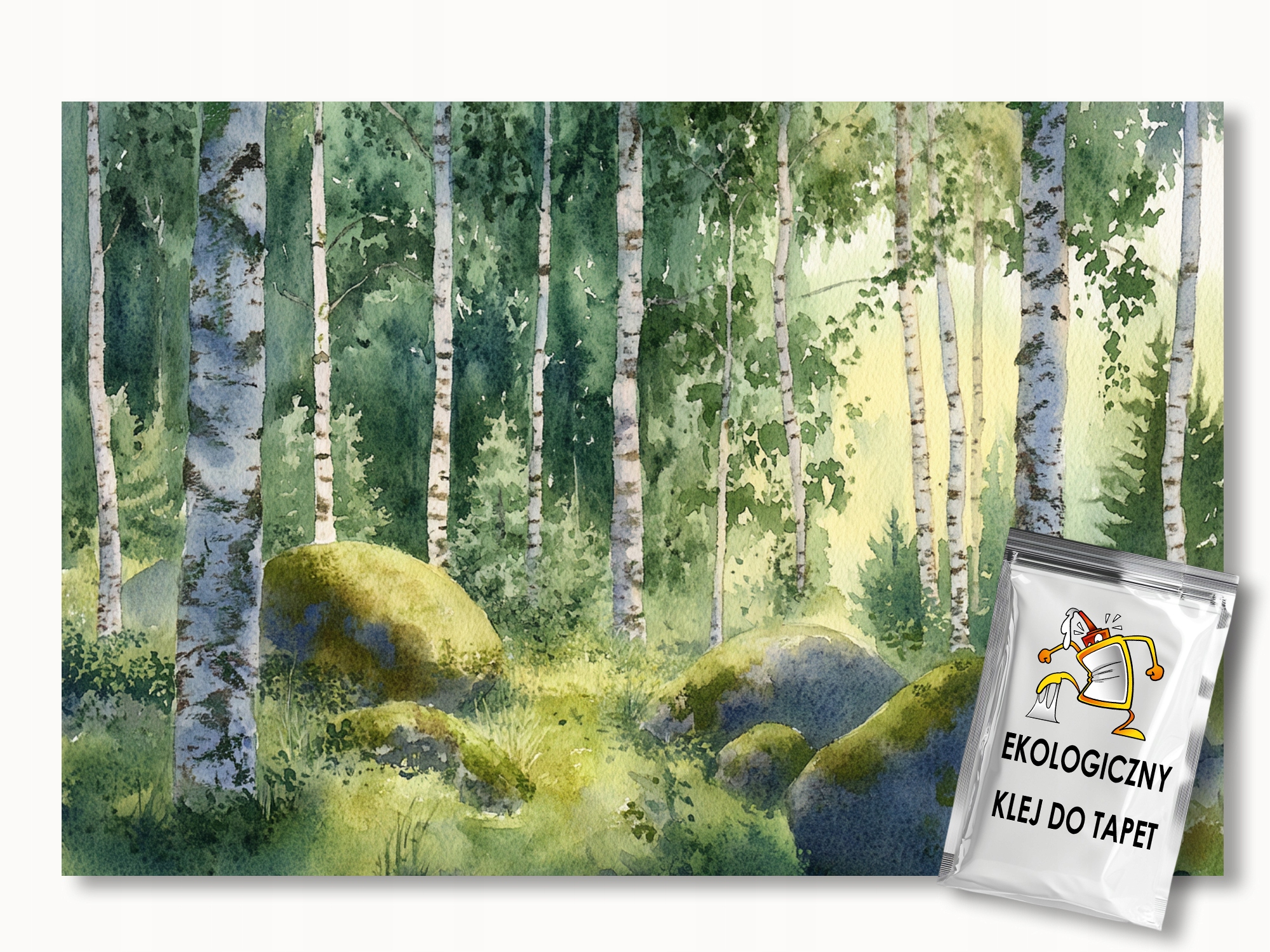 Fototapeta Flizelina Krajina Les Stromy Břízy Kameny Mech 200x140 110g