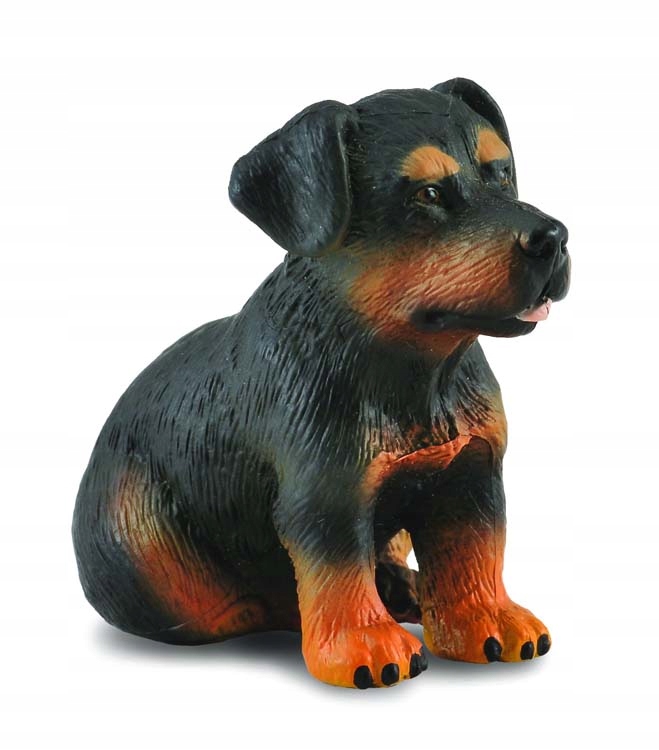 

Pies Rasy Rottweiler Szczeniak CollectA 88190