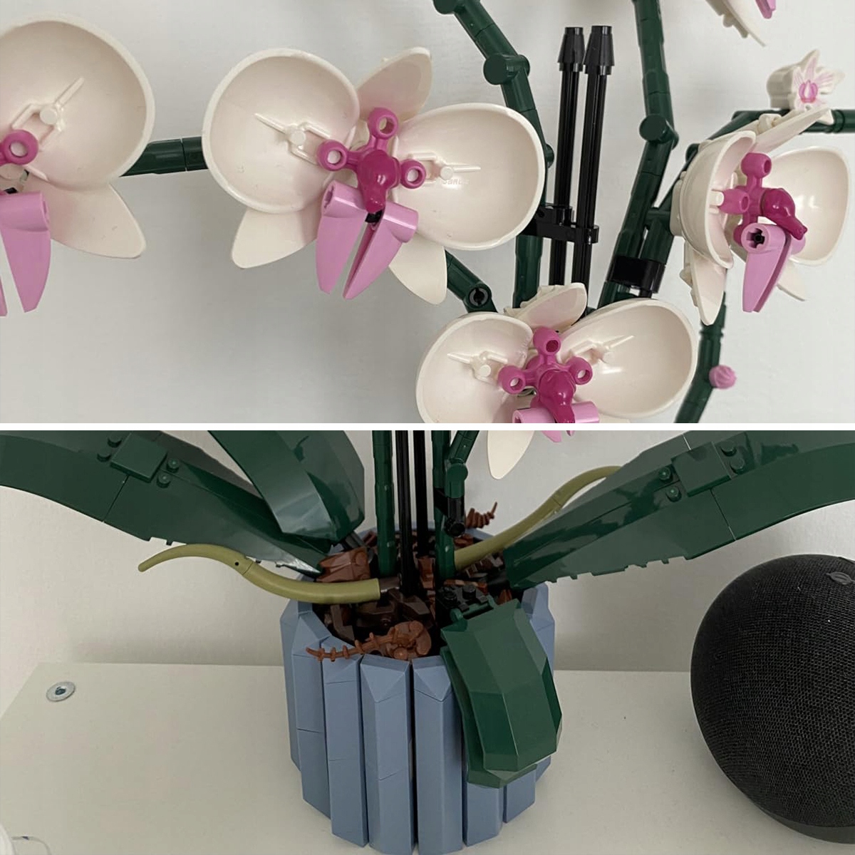 MARKA GENERYCZNA LEGO CREATOR EXPERT Orchidea 10311 kwiaty kwiat Minimalny wiek dziecka 18