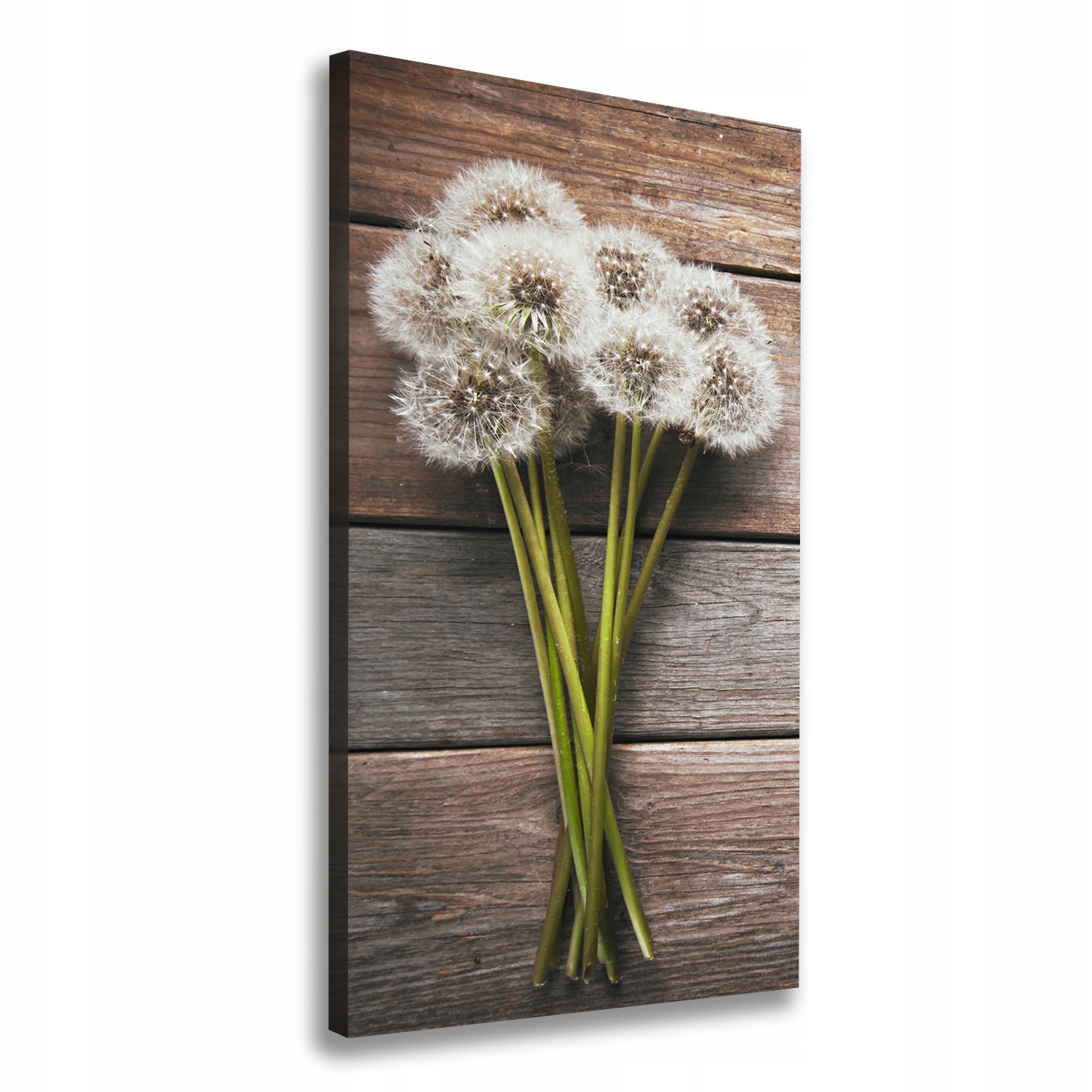 

Foto obraz na płótnie Bukiet dmuchawców 60x120 cm
